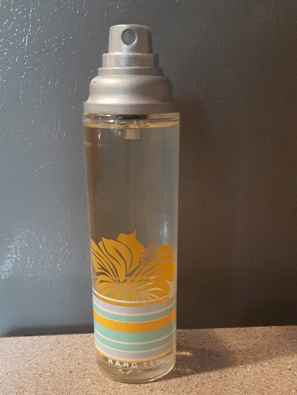 Hang Ten EDT Spray 100ml for Her